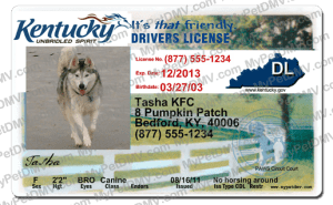 Pet Licenses for State Kentucky