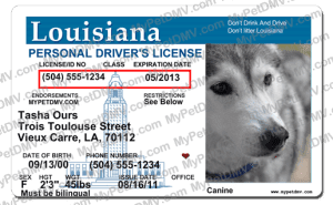 Pet Licenses for State Louisiana