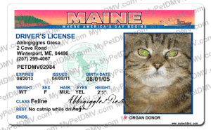 Pet Licenses for State Maine