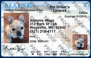 Pet Licenses for State Maine