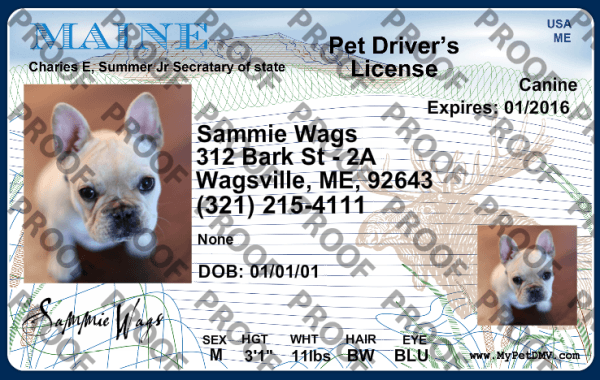 Pet Licenses for State Maine