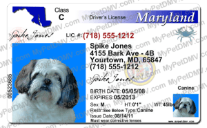 Pet Licenses for State Maryland