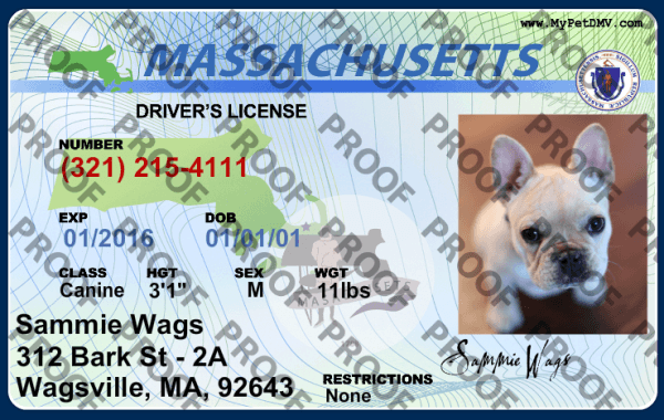 Pet Licenses for State Maine