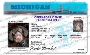 Pet Licenses for State Michigan