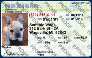 Pet Licenses for State Michigan