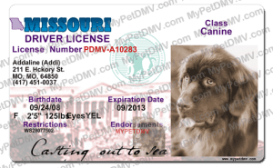 Pet Licenses for State Missouri