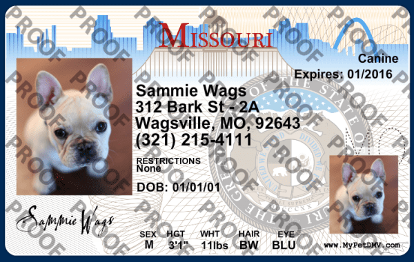 Pet Licenses for State Missouri