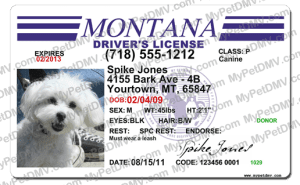 Pet Licenses for State Montana