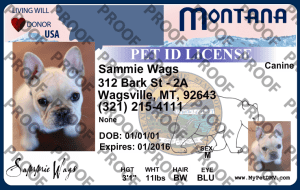 Pet Licenses for State Montana