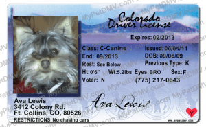 Pet Licenses for State Nevada