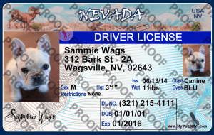 Pet Licenses for State Nevada