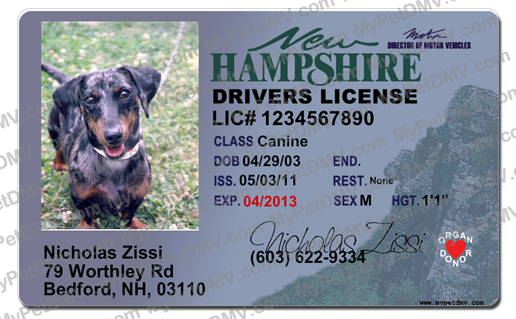 Pet Licenses for State New Hampshire