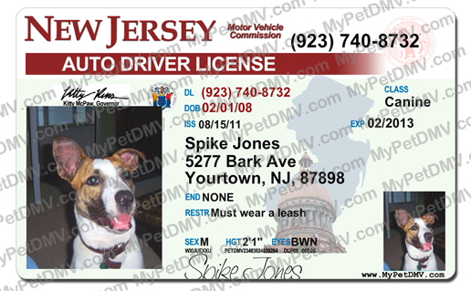 Pet Licenses for State New Jersey