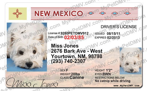 New Mexico state pet licenses