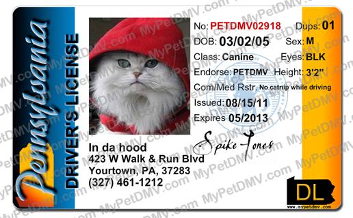 Pet Licenses for State Pennsylvania