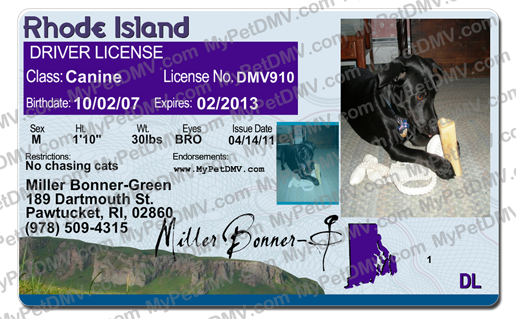 Pet Licenses for State Rhode Island