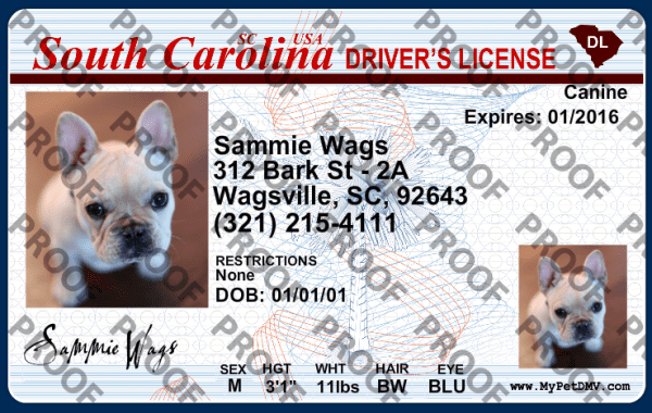 Pet Licenses for State South Carolina