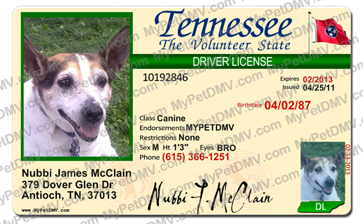 Pet Licenses for State Tennessee 