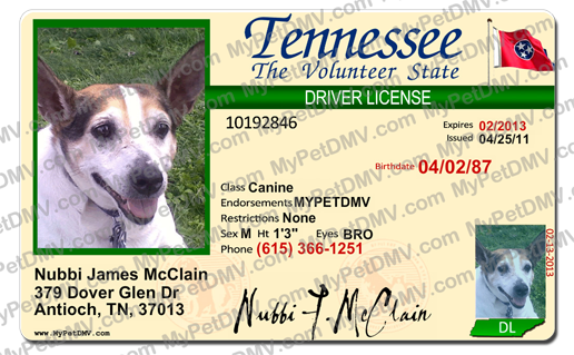 Tennessee state pet licenses