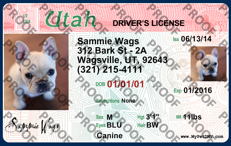 Pet Licenses for State Utah