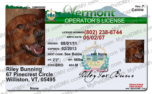 Pet Licenses for State Vermont