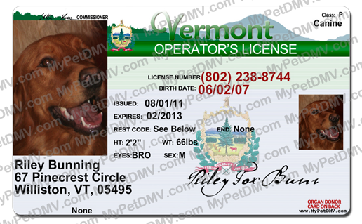 Vermont state pet licenses