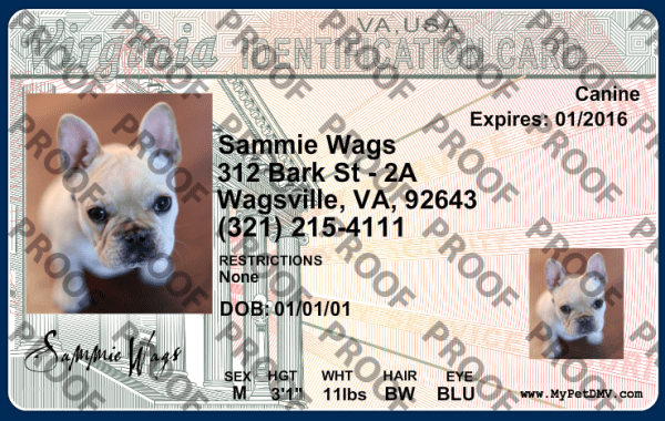 Pet Licenses for State Virginia