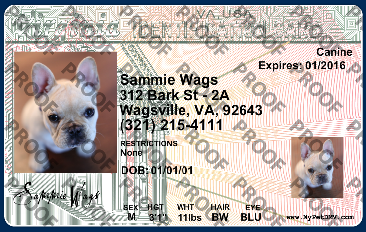 Pet Licenses for State Virginia
