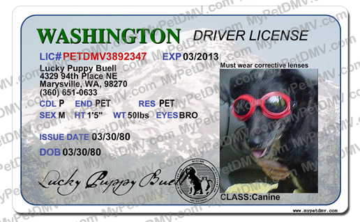 Pet Licenses for State Washington