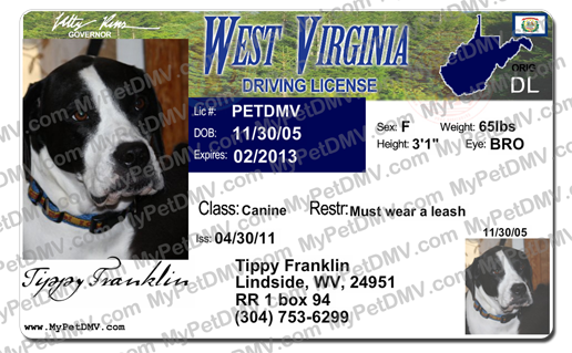 Pet Licenses for State West Virginia