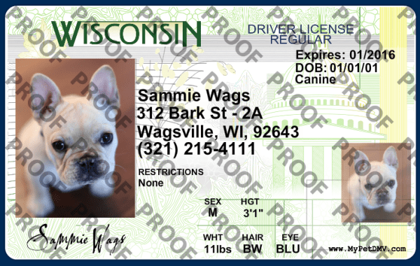 Pet Licenses for State Wisconsin