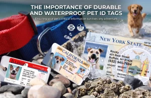 mypetdmv Waterproof Pet ID Tags