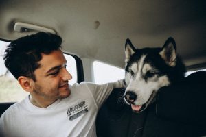 Top 10 Reasons Your Pet Needs a Personalized Driver's License ID