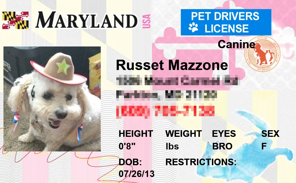 Pet-Licenses-for-State-Maryland