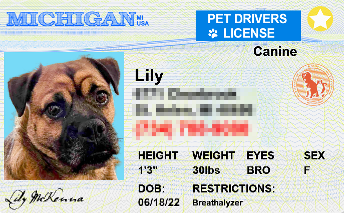 Pet-Licenses-for-State-Michigan