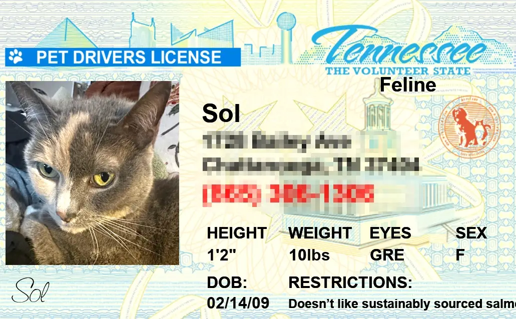 Pet-Licenses-for-State-Tennessee