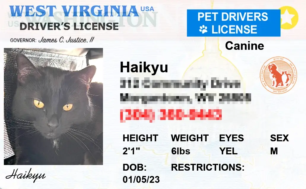 Pet-Licenses-for-State-West-Virginia