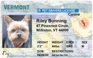 Example of Pet-Licenses-for-State-Vermont