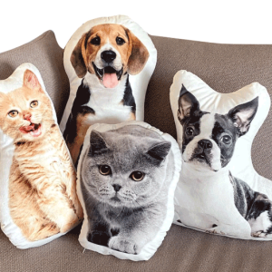 Custom Pet Pillow