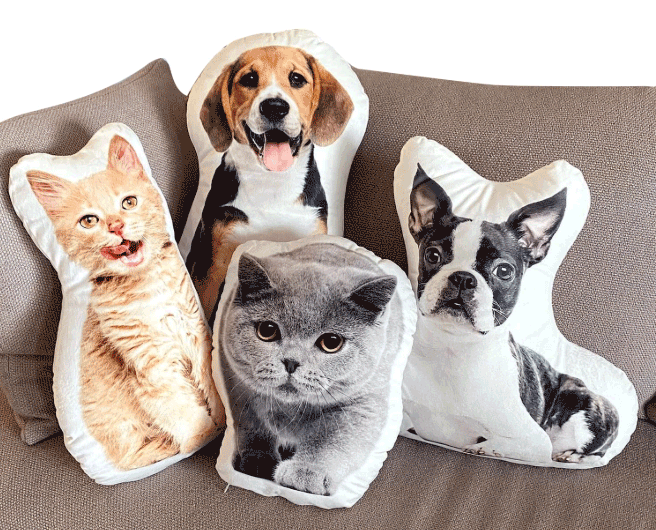 Custom Pet Pillow