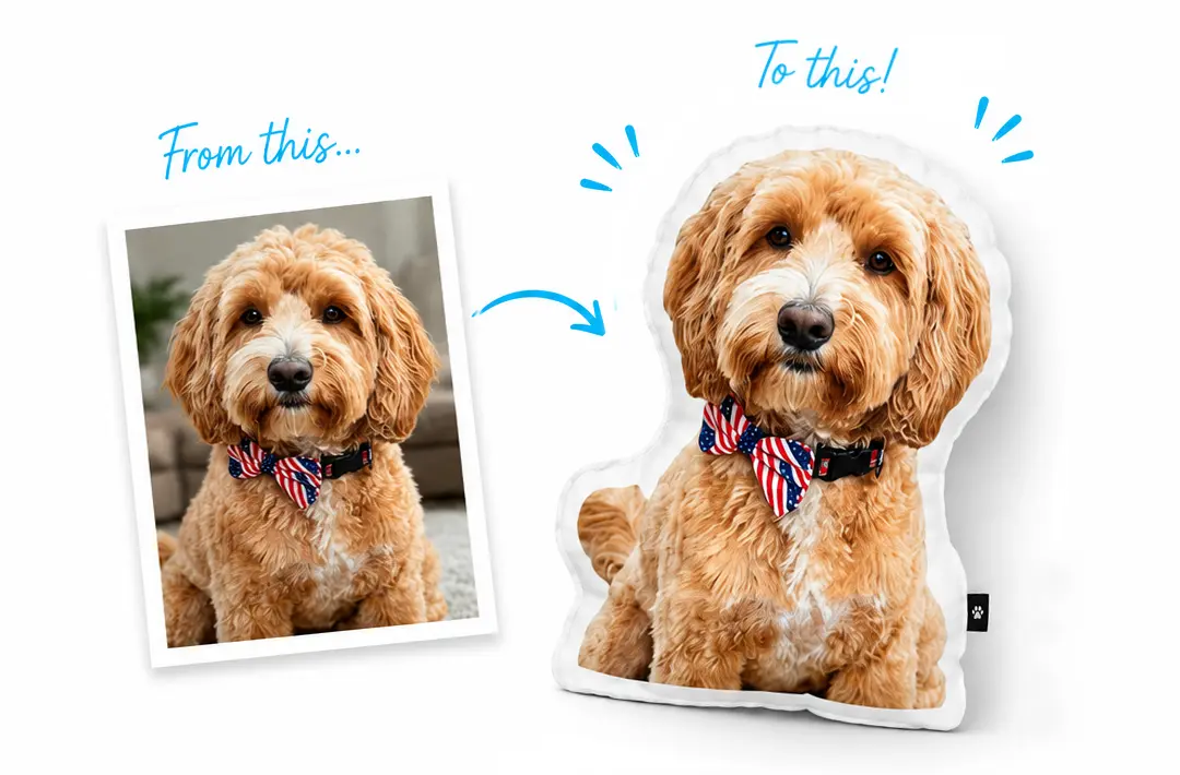 Custom pet pillow shaped from a dog's photo, shown next to the original photo